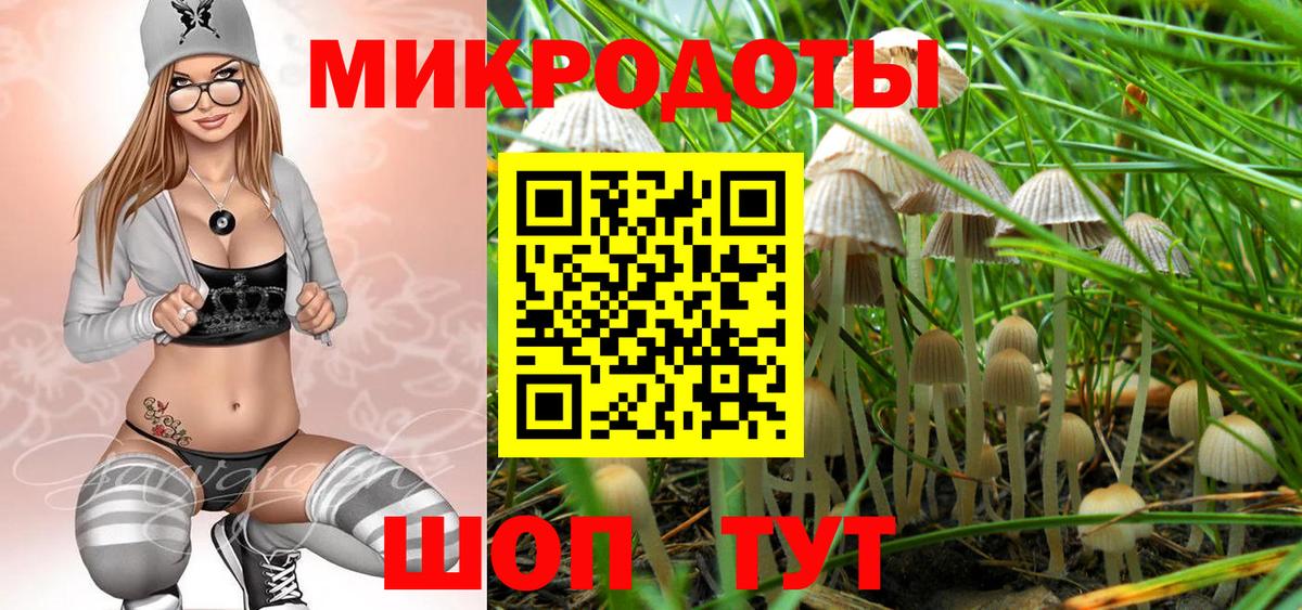 Дедовск  продажа наркотиков  Вход с VPN  Галлюциногенные грибы Psilocybine cubensis 